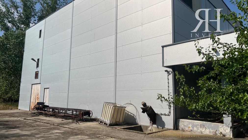 ELADÓ csarnokok telekkel és borospincével Csongrad/Bokros