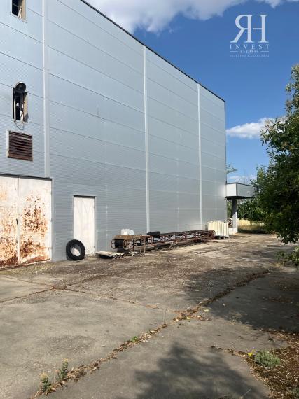 ELADÓ csarnokok telekkel és borospincével Csongrad/Bokros