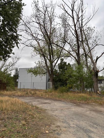 ELADÓ csarnokok telekkel és borospincével Csongrad/Bokros