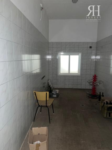 ELADÓ csarnokok telekkel és borospincével Csongrad/Bokros