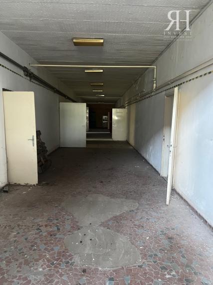 ELADÓ csarnokok telekkel és borospincével Csongrad/Bokros