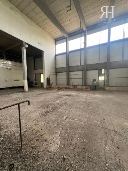 ELADÓ csarnokok telekkel és borospincével Csongrad/Bokros