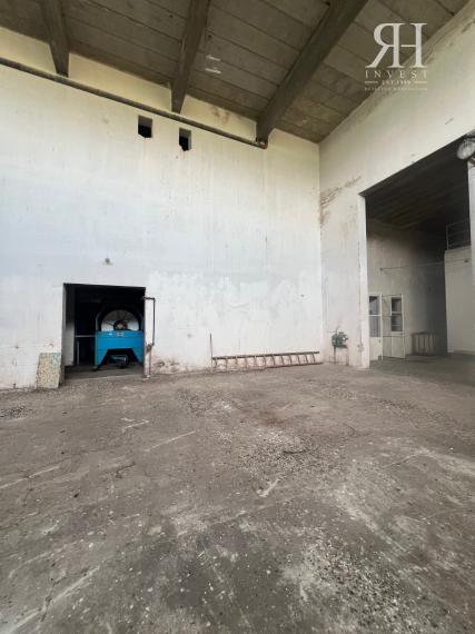 ELADÓ csarnokok telekkel és borospincével Csongrad/Bokros