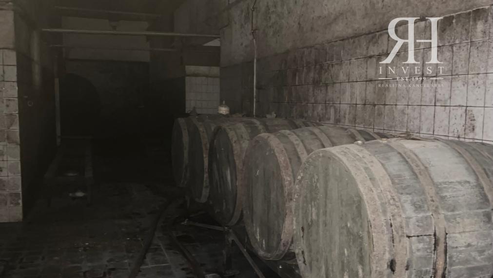 ELADÓ csarnokok telekkel és borospincével Csongrad/Bokros