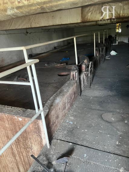 ELADÓ csarnokok telekkel és borospincével Csongrad/Bokros