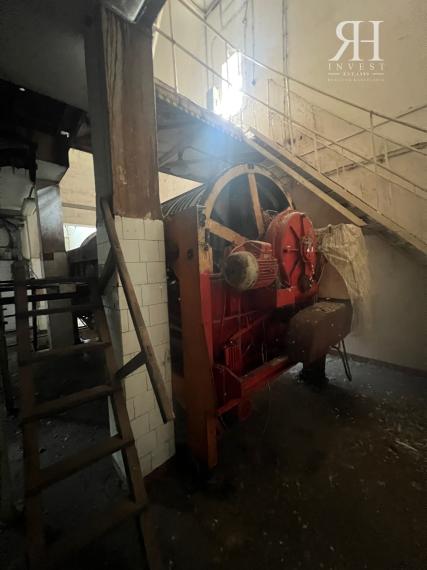 ELADÓ csarnokok telekkel és borospincével Csongrad/Bokros