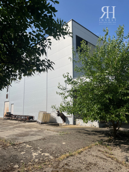 ELADÓ csarnokok telekkel és borospincével Csongrad/Bokros