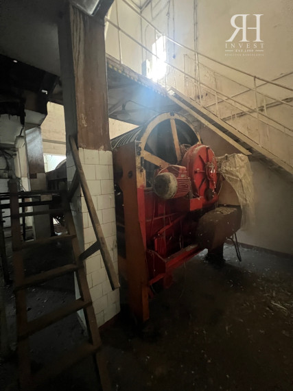 ELADÓ csarnokok telekkel és borospincével Csongrad/Bokros